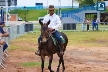 Foto - Veja como foi o 1º dia da Prova de Marcha de Equinos e Muares 2024 de Nazaré Paulista