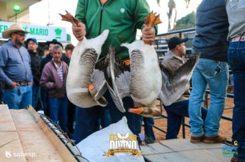 Foto - Festa do Divino 2023 - Tradicional Leilão de Prendas