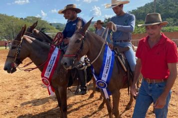 Foto - Veja como foi o 1º dia da Prova de Marcha de Equinos e Muares 2024 de Nazaré Paulista