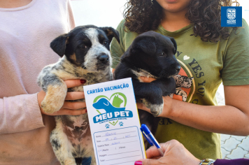 Prefeitura realiza vacinação contra cinomose em cães na Vila Galhardo em Nazaré Paulista