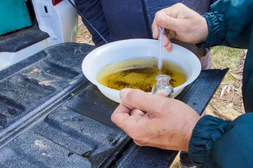 Prefeitura de Nazaré Paulista intensifica ações de combate à febre amarela