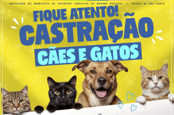 Prefeitura realizará castração gratuita de cães e gatos nos dias 02 e 03 de agosto em Nazaré Paulista