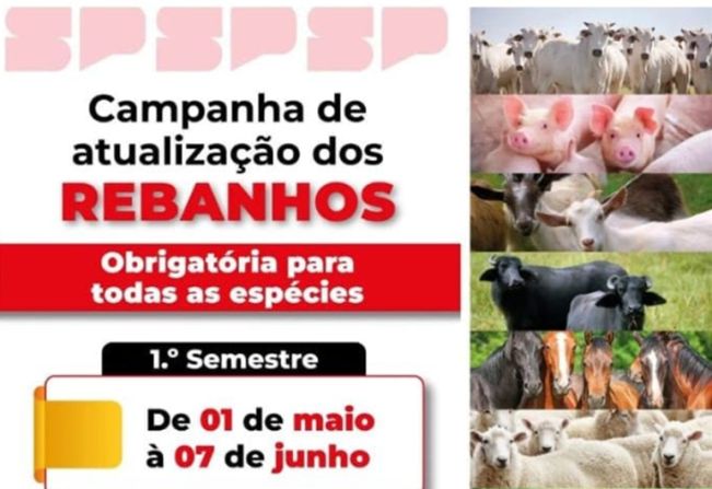 Sanidade animal:  Campanha de atualização de rebanhos foi iniciado no estado de São Paulo