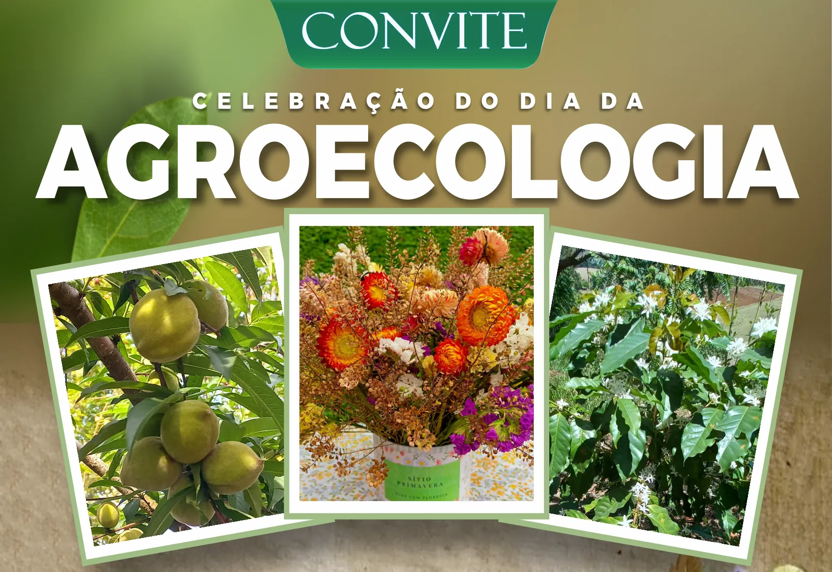 Agroecologia: Prefeitura de Nazaré Paulista convida para o Encontro de Agroecologia 2025