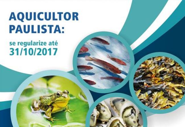 Aquicultor paulista tem até o dia 31 de outubro para regularizar suas atividades