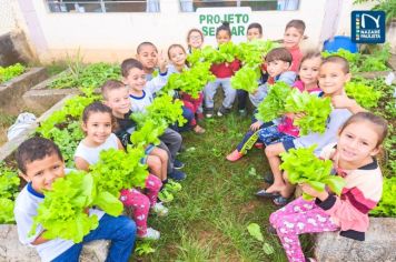 Dia Mundial do Meio Ambiente