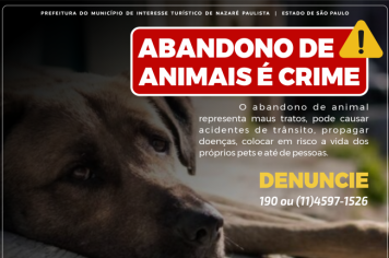 Lei Federal nº 14.064/2020