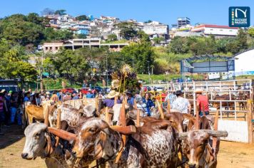 Melhores Momentos: Nazaré Paulista realiza mais uma edição da tradicional chegada da paçoca com desfile de carros de boi e cavaleiros pelas ruas da cidade