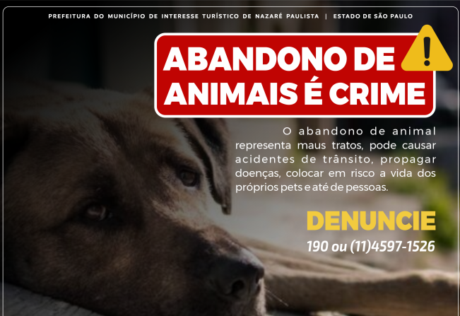 Lei Federal nº 14.064/2020