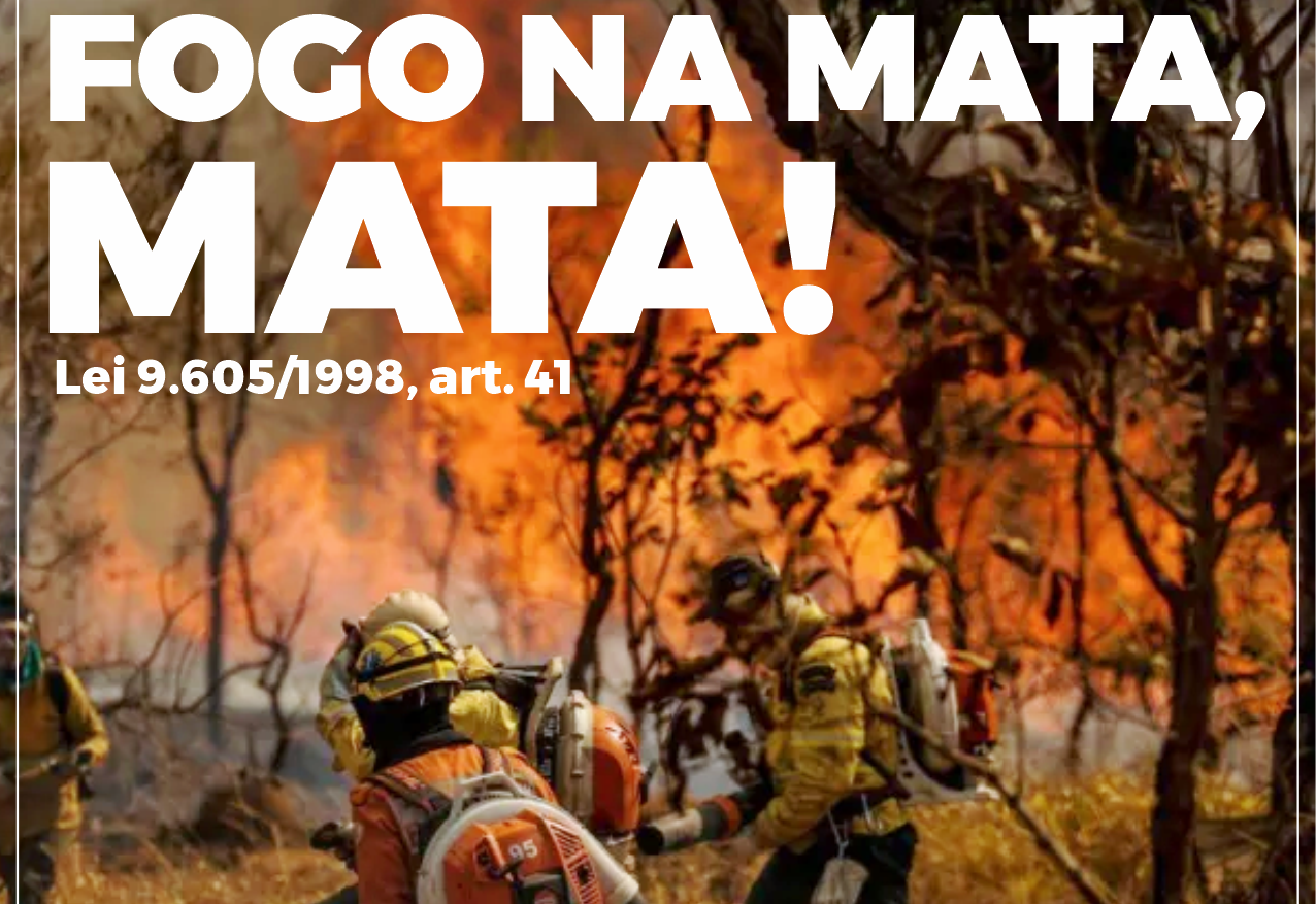 “Fogo na mata, mata!” 
