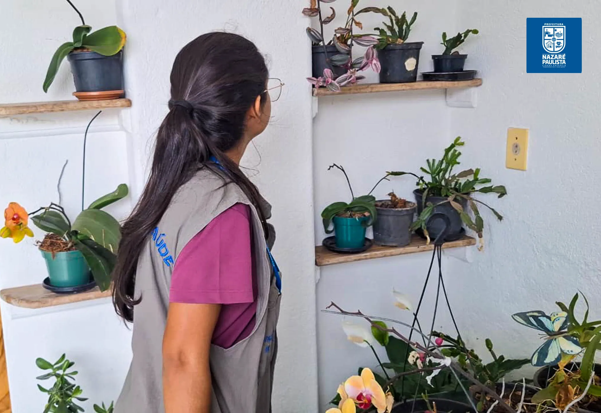 Prefeitura realiza dia “D” em combate a Dengue em Nazaré Paulista