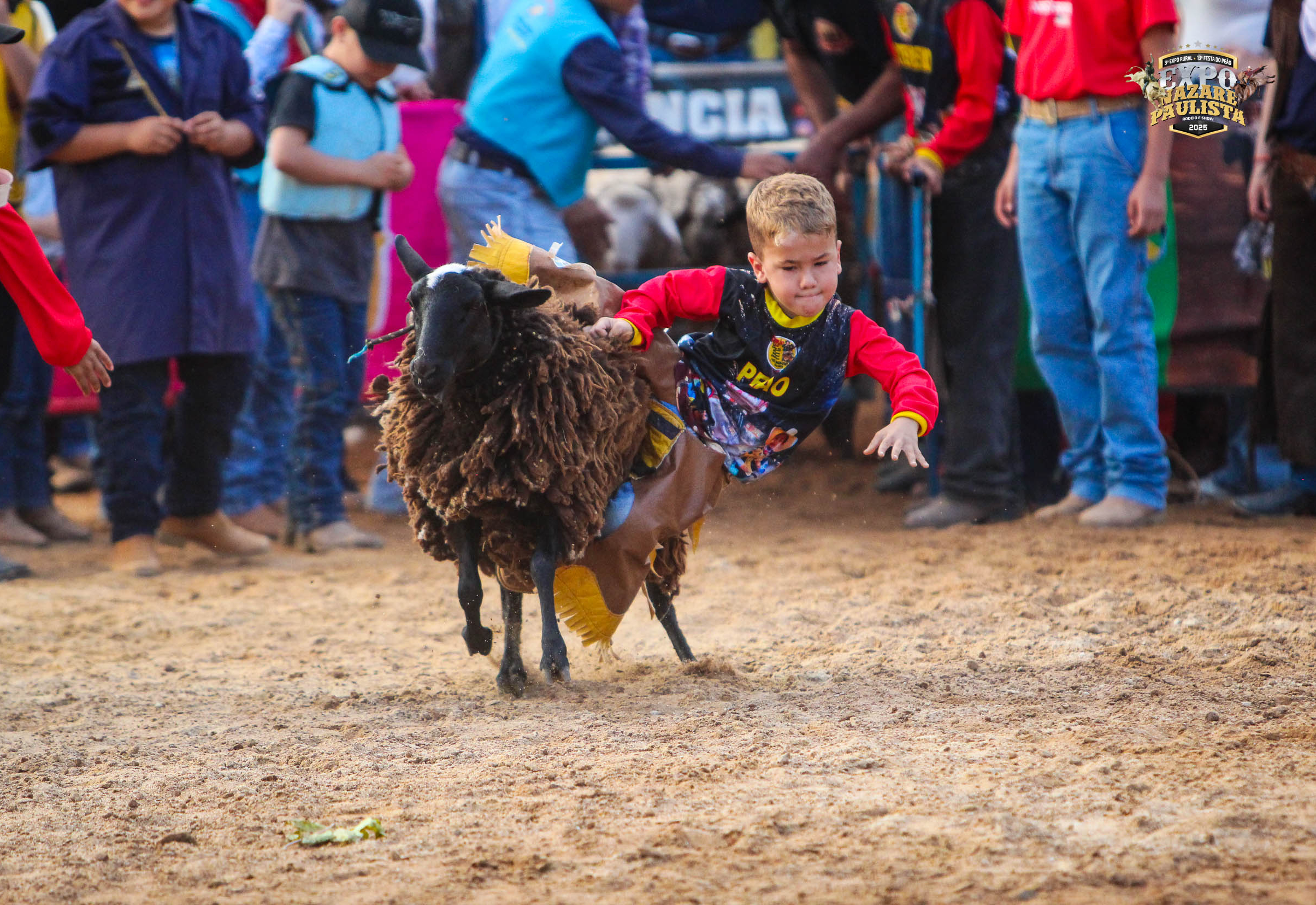 Veja como foram as montarias dos pequenos peões em carneiros, com muita diversão na 13ª Festa do Peão de Boiadeiro de 2025, em Nazaré Paulista